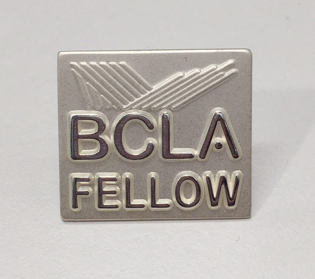 Fellowship Application